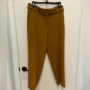 Ann Taylor Pants